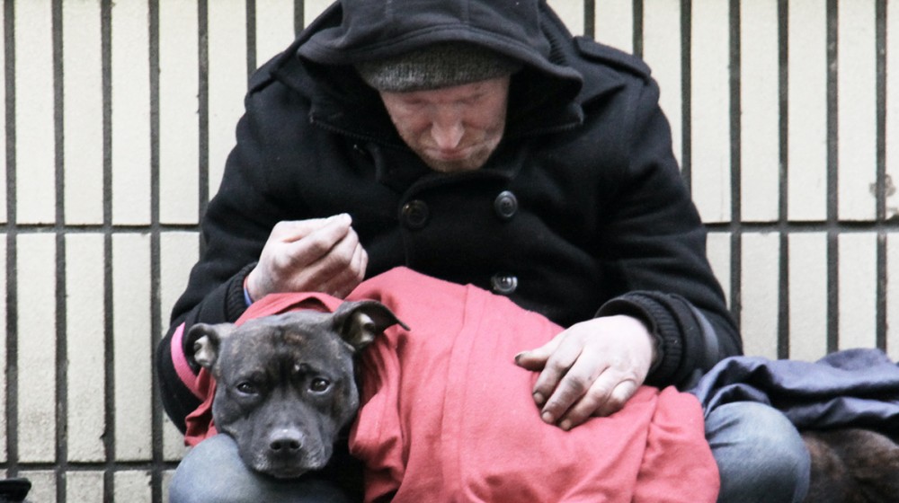 itinerant avec son chien